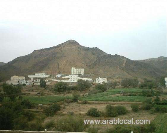 4.0-magnitude-earthquake-hits-southeastern-saudi-cities_kuwait