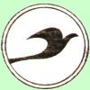 al-zouman-aviation-dammam-saudi