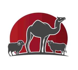 habrat-snam-saudi