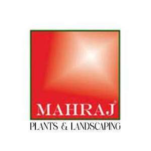 mahraj-plants-landscaping-al-malqa-riyadh-saudi