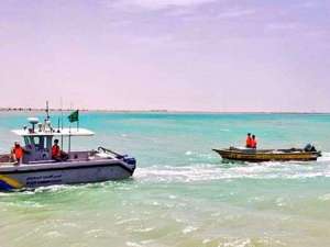 saudi-border-guards-foiled-an-attempt-to-smuggle-229kg-of-hashish_UAE