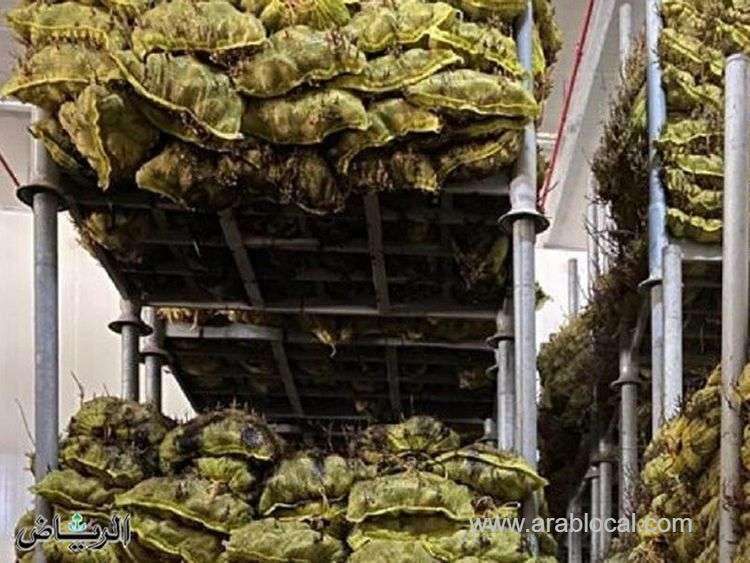 riyadh-factory-busted-for-storing-food-in-inappropriate-conditions-saudi