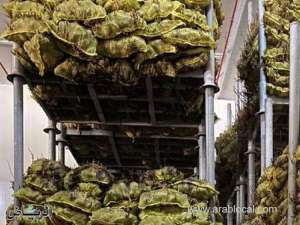 riyadh-factory-busted-for-storing-food-in-inappropriate-conditions_UAE