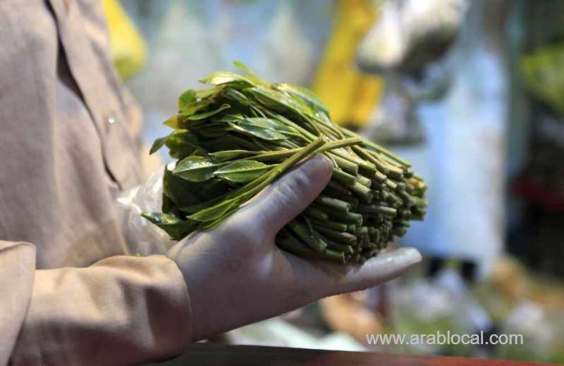 saudi-police-have-foiled-an-attempt-to-smuggle-340-kilograms-of-qat-saudi