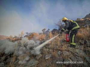 saudi-firefighters-battling-huge-bush-blaze_UAE