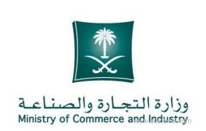 400-thousand-fine-for-5-concealers-and-deportation-of-residents-from-the-kingdom_UAE