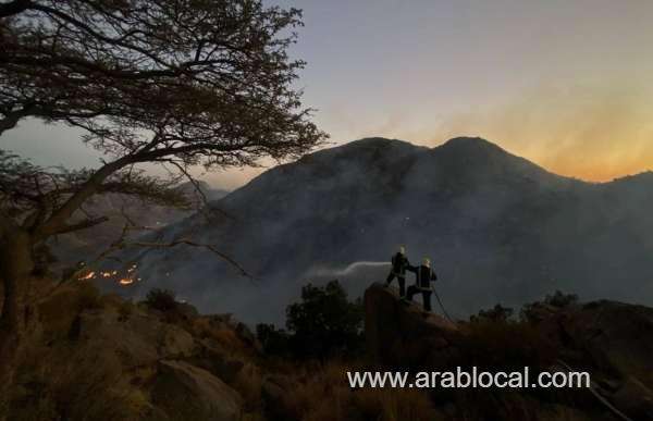 3-ethiopians-arrested-in-connection-with-ghulamah-mountain-blaze-saudi