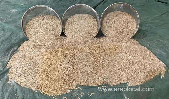 saudi-authorities-have-foiled-massive-drug-smuggling-attempts-saudi