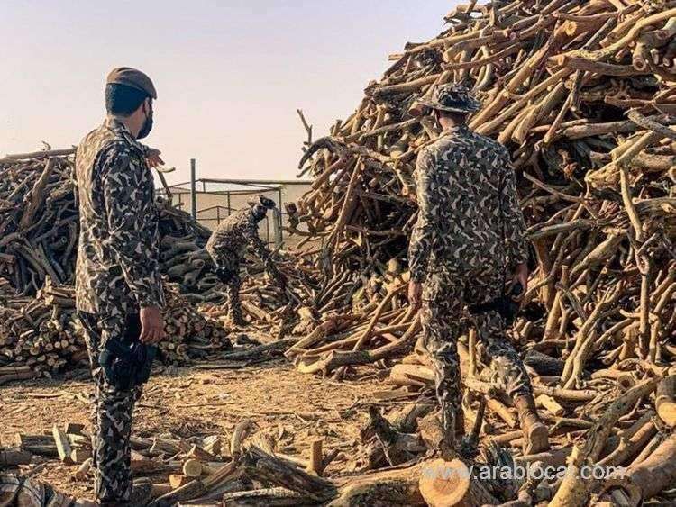 30-tonnes-of-illegal-firewood-seized-by-sfes-saudi