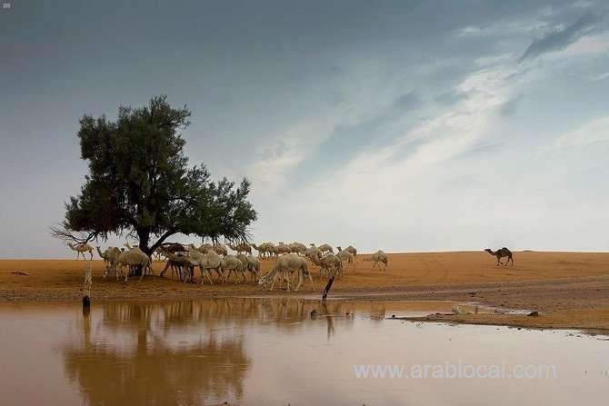 weather-warnings-issued-across-saudi-arabia--meteorology-saudi