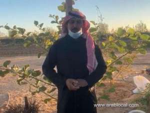 saudi-grows-rice-tea-saffron-on-his-tabarjal-farm_UAE