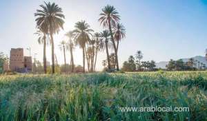 saudi-arabia-and-japan-sign-mou-to-enhance-environmental-protection_UAE