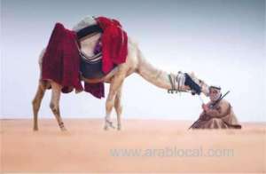 trio-arrested-in-saudi-camel-festival-shooting_UAE