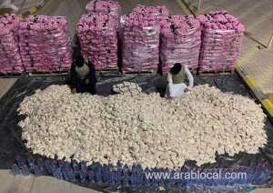 bid-to-smuggle-over-11mn-amphetamine-pills-foiled_UAE