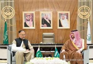 pakistani-envoy-meets-with-interior-minister_UAE