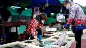 who-team-investigating-coronavirus-origins-denied-entry-to-china_UAE