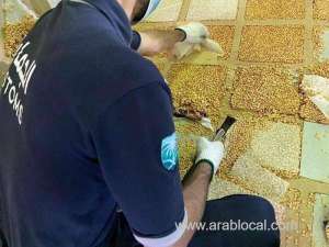 saudi-customs-foil-bid-to-smuggle-over-14-million-captagon-pills_UAE