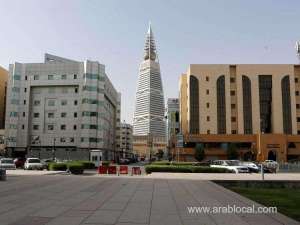 saudis-make-up-218-of-private-sector-workforce_UAE