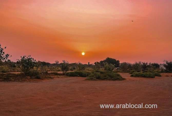 king-salman-aims-to-preserve-natural-environment-and-wildlife-in-saudi-arabia-saudi