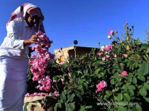 in-pictures-taif-saudi-arabias-city-of-roses_UAE