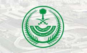 allowing-3-categories-to-enter-directly-to-saudi-arabia-lifting-the-suspension-of-citizen-below-18-to-travel-bahrain--moi_UAE