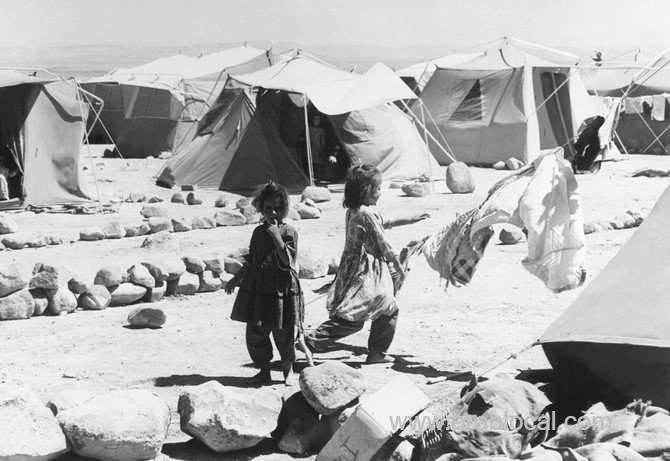 saudi-arabia-hosts-the-largest-palestinian-community-in-the-gulf-region-saudi