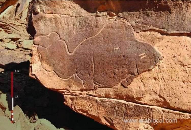 life-size-camel-carvings-found-in-the-saudi-desert-saudi