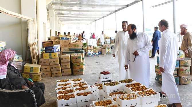 farmers-in-madinah-begin-harvest-of-dates--saudi