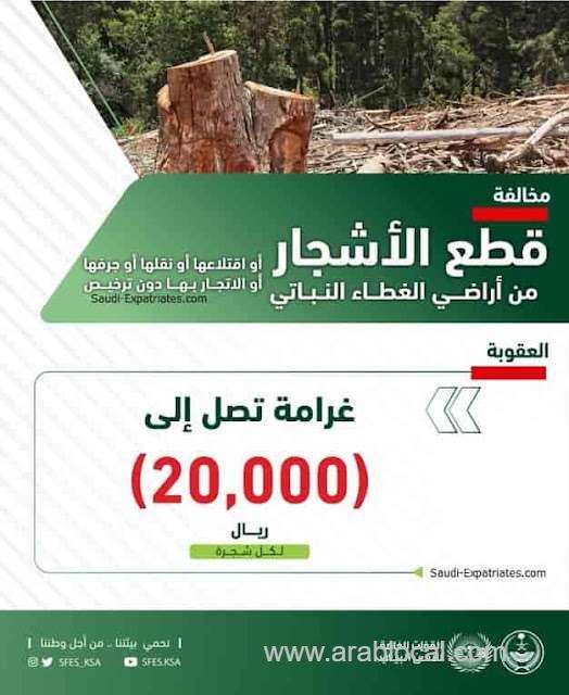 20000-riyals-fine-for-cutting-uprooting-transporting-destroying-or-trading-a-tree-from-vegetation-cover-without-a-license-saudi