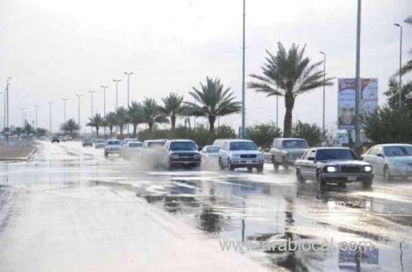 from-friday-most-regions-in-saudi-arabia-can-expect-unpredictable-weather-saudi