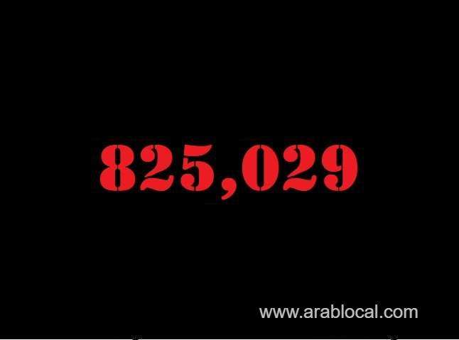 saudi-arabia-coronavirus--total-cases--825029-new-cases--45-cured--812312-deaths-9446-active-cases--3271-saudi