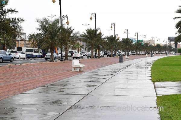 a-higher-rainfall-is-expected-in-february-according-to-the-ncm-saudi