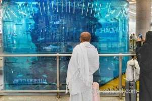 hajj-pilgrims-important-guidelines-and-conditions-for-arrival-in-saudi-arabia_UAE