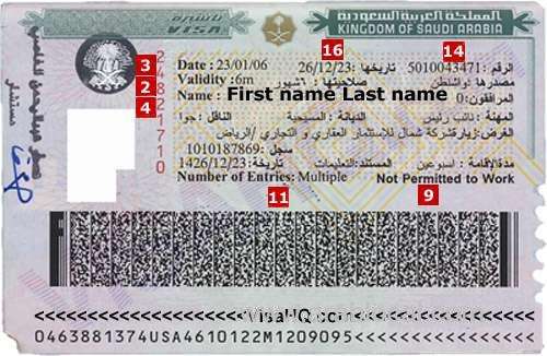 ksa-issued-12m-visas-last-year-for-work,-visit,-business-and-pilgrimage-saudi