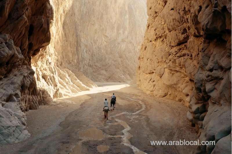 saudi-arabia-jobs-tourism-sector-seeks-top-talent-expert-reveals-saudi