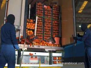 saudi-customs-foil-drug-smuggling-attempt-in-pomegranate-shipment_UAE