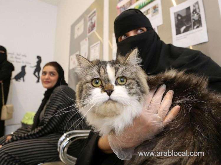 petfriendly-rides-and-passenger-rights-saudi-arabias-new-transport-regulations-saudi