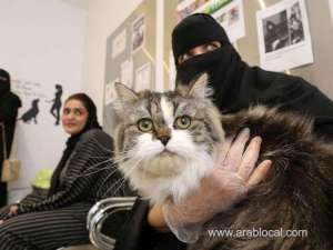 petfriendly-rides-and-passenger-rights-saudi-arabias-new-transport-regulations_UAE