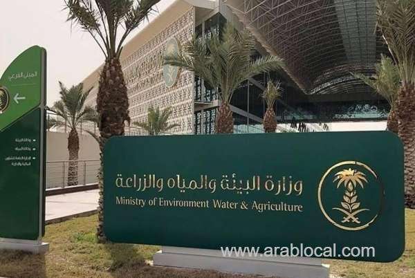 epayment-mandate-navigating-guidelines-for-saudi-public-benefit-markets-saudi