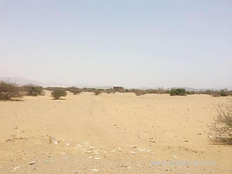 basic-services-lacking-in-villages-off-al-qunfudah-saudi
