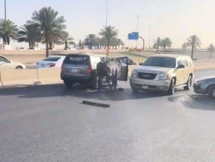 rampaging-bull-causes-chaos-in-riyadh-damages-six-cars-and-sparks-panic-saudi