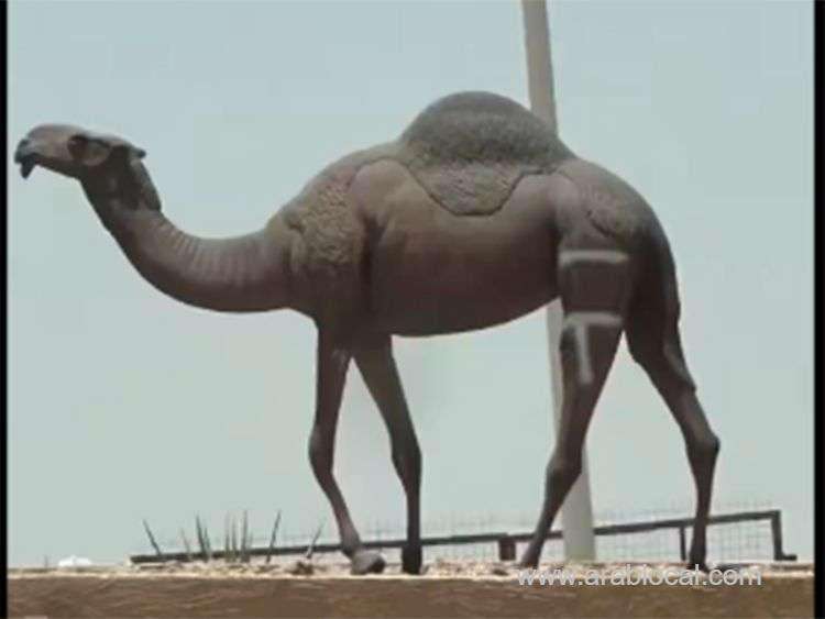 saudi-man-jailed-for-vandalizing-iconic-camel-statue-saudi