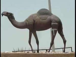 saudi-man-jailed-for-vandalizing-iconic-camel-statue_saudi