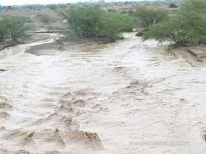 watch-rockslide-in-asir-region-as-heavy-rains-transform-saudi-arabian-landscapes_UAE