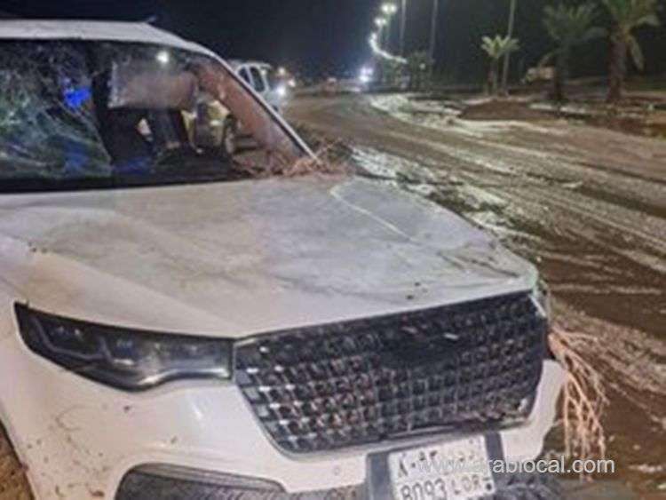 video-flash-floods-claim-lives-of-five-from-one-family-one-child-survives-saudi