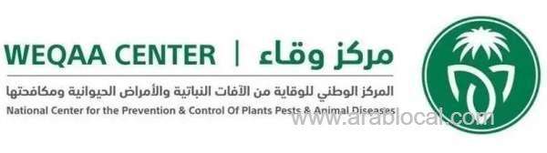 pilot-miraculously-survives-plane-crash-during-antiinsect-mission-in-jazan-saudi