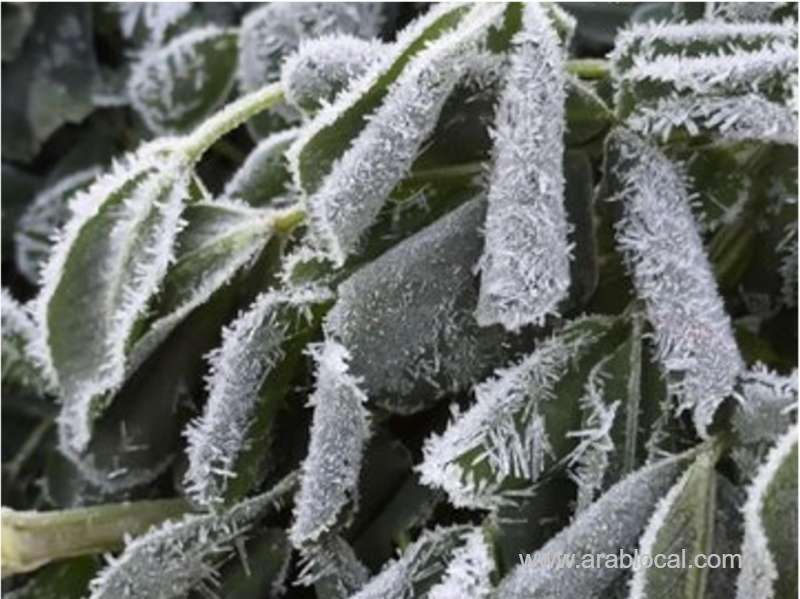 saudi-arabia-shivers-as-turaif-records-historic-low-of-2c-amid-intense-cold-wave-saudi