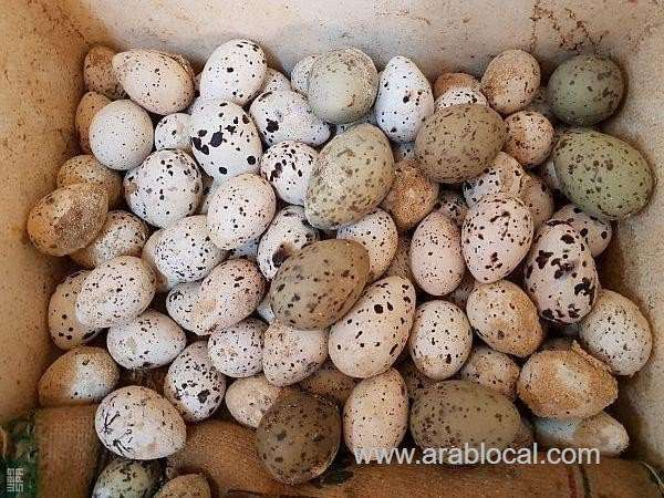 saudi-arabia-ministry-seized-boat-carrying-248-eggs-of-seabirds-saudi