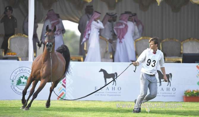 arabian-horses-beauty-championship-organized-by-kaahc-was-ending-saudi
