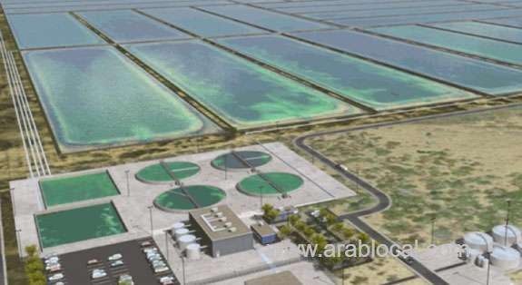 saudi-arabia,-france-move-towards-partnership-in-algae-industry-saudi